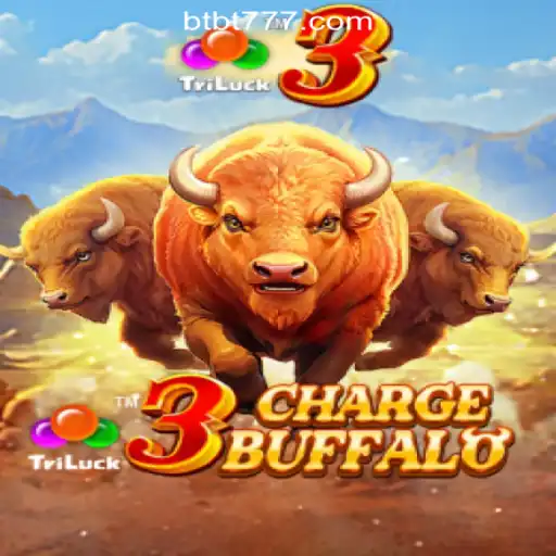 The Exciting World of 3ChargeBuffalo